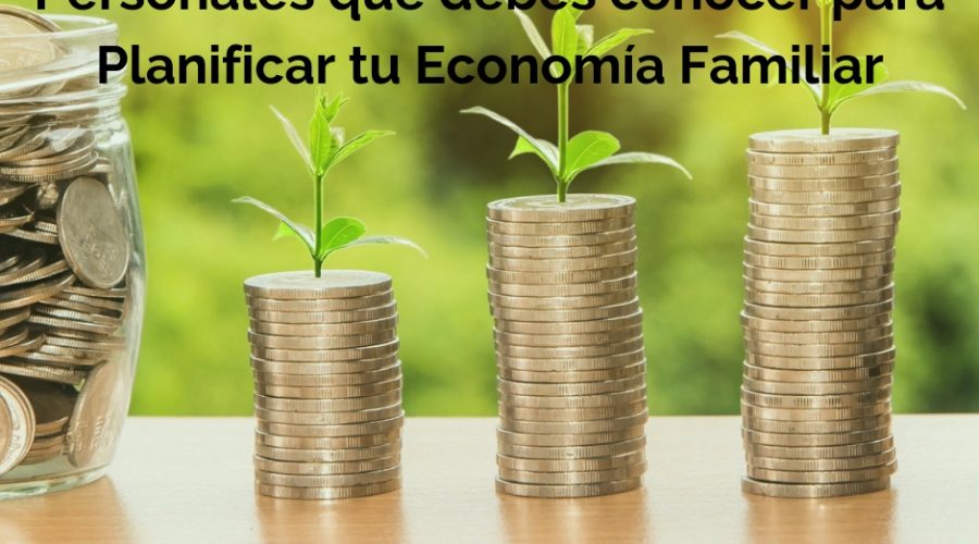 Economía familiar